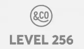 level 256