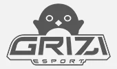 logo griziesport