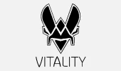 Vitality esport team logo